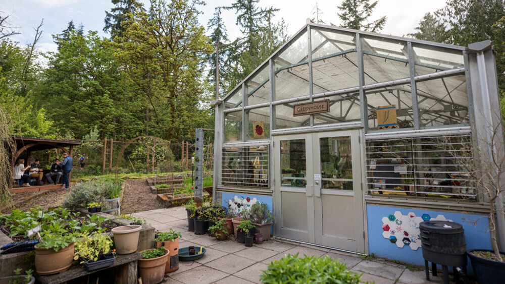 steel-framed greenshouse