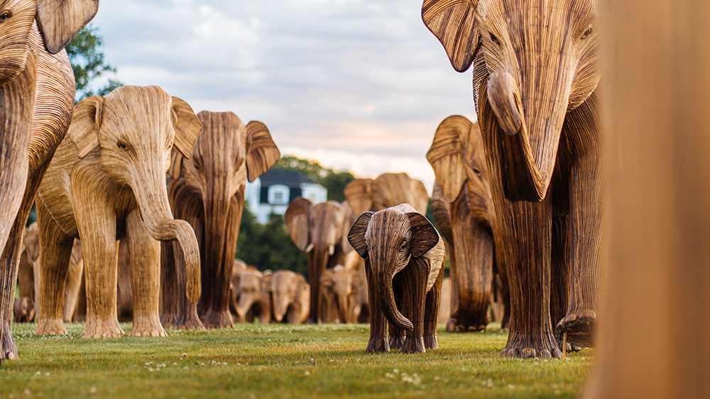 life-sized elephant sculptures on the grass